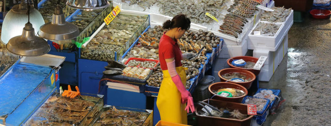 Govt expands ban on Japans fishery products
