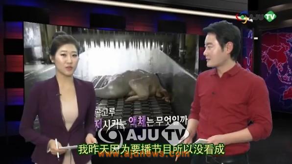 [AJU TV] 只有中国有食品安全问题？ 韩国也有！ 这样的炸鸡你敢吃吗？