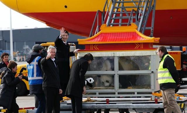 比利时高规格迎接大熊猫 首相及副手亲往机场 