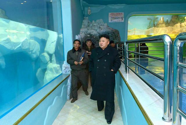 金正恩视察中央动物园