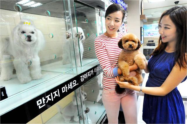 韩国Homeplus卖场提供宠物寄养服务