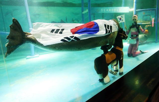 海豹身披太极旗为亚运会韩国队加油助威
