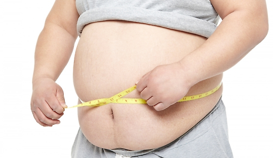 Obesity rate among South Korean male children higher than OECD average