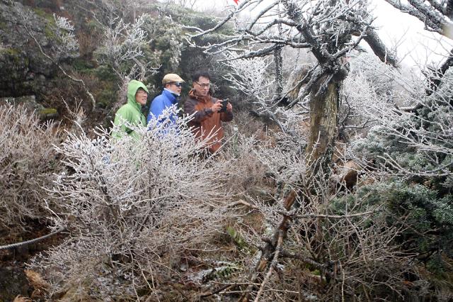 汉拿山迎来初雪