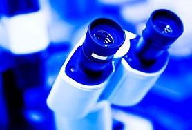 Gene test may identify kidney transplant rejection