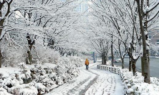 韩国多处降雪犹如冰雪王国