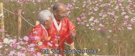 Documentary My Love" tops South Koreas box office 
