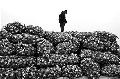 中国出口韩国2200吨大蒜遭退 前后质检结果不一