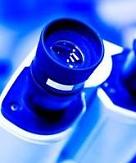 Immune system dictated by environment and not genes: study reveals