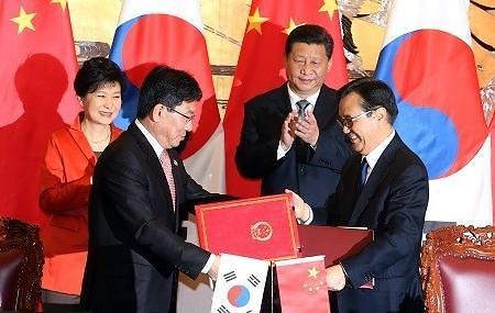 韩政府加大对华出口商品开发 望在中韩FTA优惠关税受益