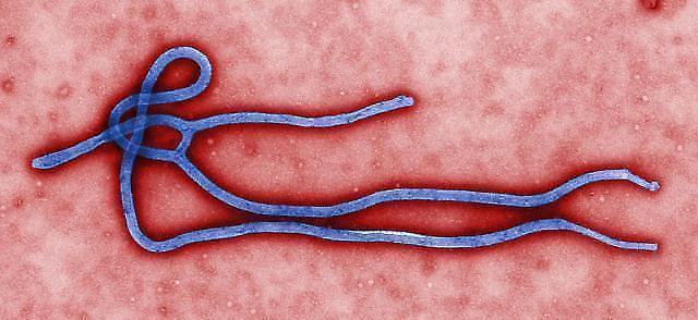 British health worker diagnosed with Ebola in Sierra Leone