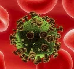 S. Africas HIV treatment covers nearly half of the infected: official
