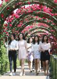 2015 Seoul Rose Festival to open May 29 