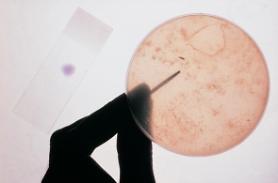 Guinea, Sierra Leone impose new quarantine after new Ebola cases