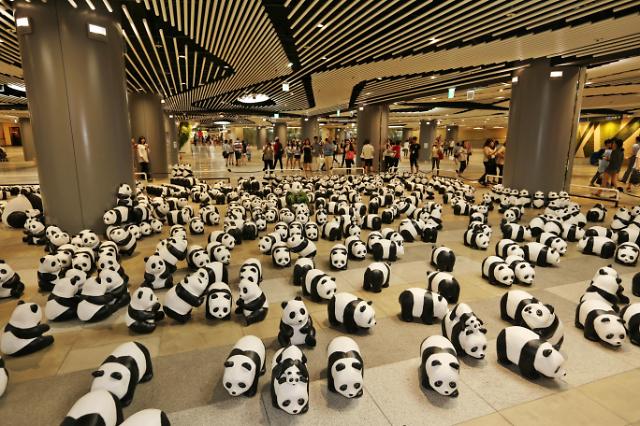 避雨中的1800只纸熊猫