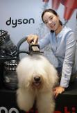Dyson unveils new machine to groom pets  