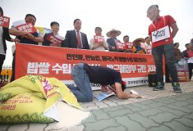 Consumption of non-rice grains on the rise in South Korea