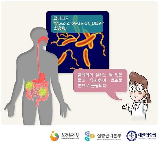South Korea confirms second cholera case in a week