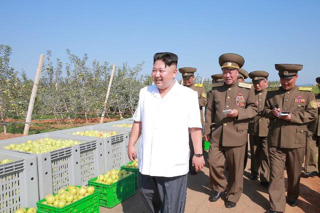 Seoul confirms execution of North Korean vice premier