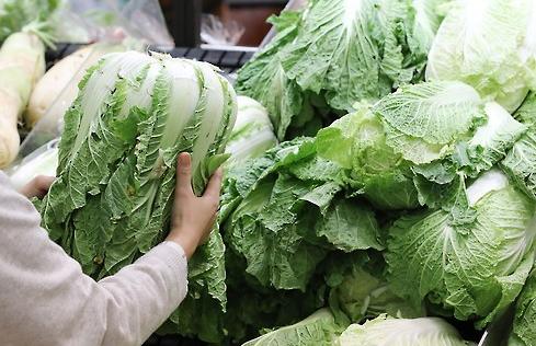 韩9月份农林水产品生产者价格指数史上最高 白菜、萝卜涨幅逾30%