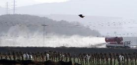 S. Korea reports first laboratory detection of H5N6 avian flu virus