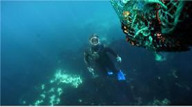 UNESCO lists Jeju female divers as cultural heritage