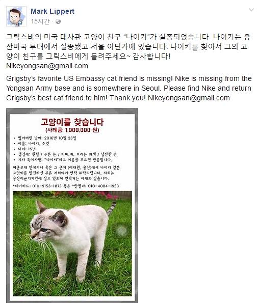 US ambassador puts up poster looking for missing embassy cat