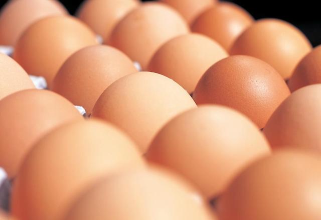 Bird flu leads to high egg prices and consumer hoarding in S. Korea  