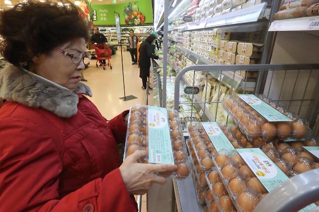 禽流感韩国愈演愈烈 鸡蛋成“限量版”
