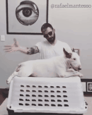 A photographer shows who the real king of his household is