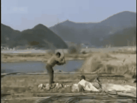 [FOCUS] Scientists find new ways to promote river rat value