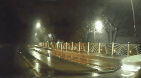 Police engage in midnight highway chase with renegade cattle