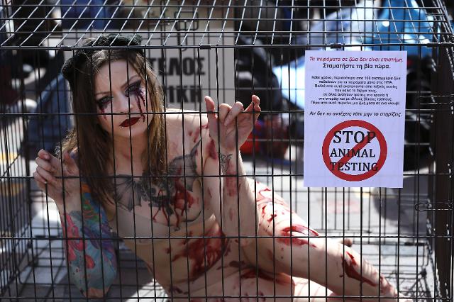 [Global Pix] An activist stages a protest in a cage against animal testing