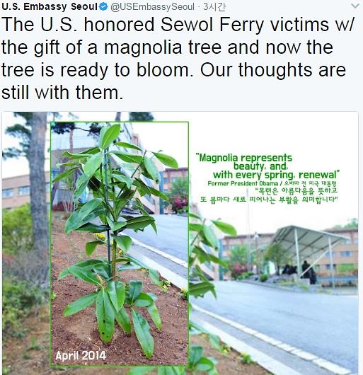 US embassy in Seoul posts Obama tree picture honoring ferry victims