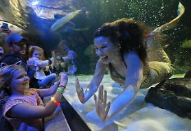 [GLOBAL PHOTO] Mermaid greets children at aquarium