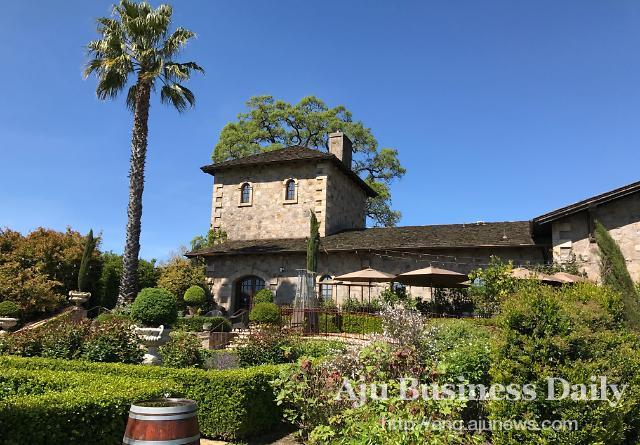 [FOCUS] Spring picnic and BBQ in V. Sattui Winery in Napa Valley, California