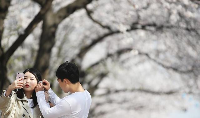 [PHOTO] Selfie under tunnel of cherry blossoms