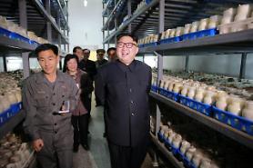N. Korea convenes rubber-stamp parliamentary meeting: Yonhap 