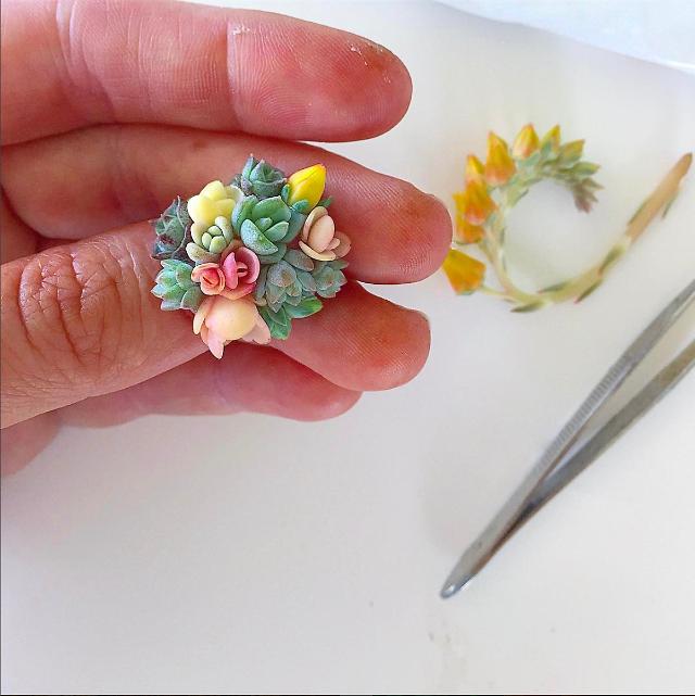 New Succulent Trend is Nail Art