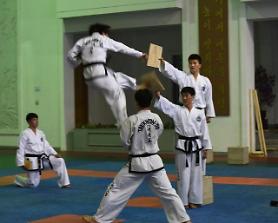 [GLOBAL PHOTO] N. Koreans show off Taekwondo skills