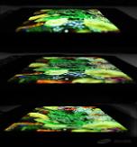 Samsung to introduce worlds first stretchable display