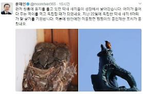 Moons bird-catching pet cat gains freedom in presidential residence