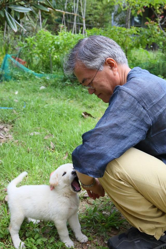 [FOCUS] President Moon under pressure from activists to ban dog meat  