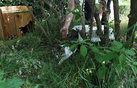 Seoul Zoo adopts 51 stray cats as family