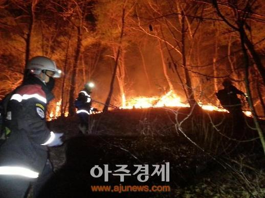 [특수재난 업무 일원화] 중구난방식 산불 재난 대응체계…‘골든타임’ 매번 놓쳐