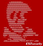 S. Korean security firm warns of fake ransomware