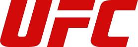 Two brokers indicted for trying to fix 2015 UFC match in Seoul