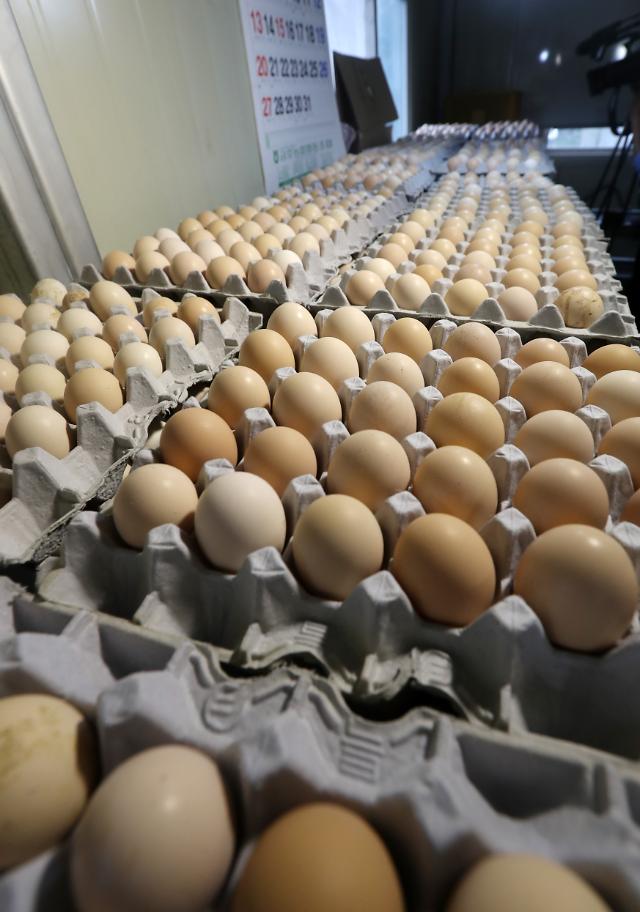 韩查出毒鸡蛋养殖场增至52处