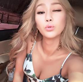 Former SISTAR Hyolyn urges fan support for solo activity