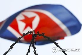 S. Korea close to developing blackout bomb: Yonhap